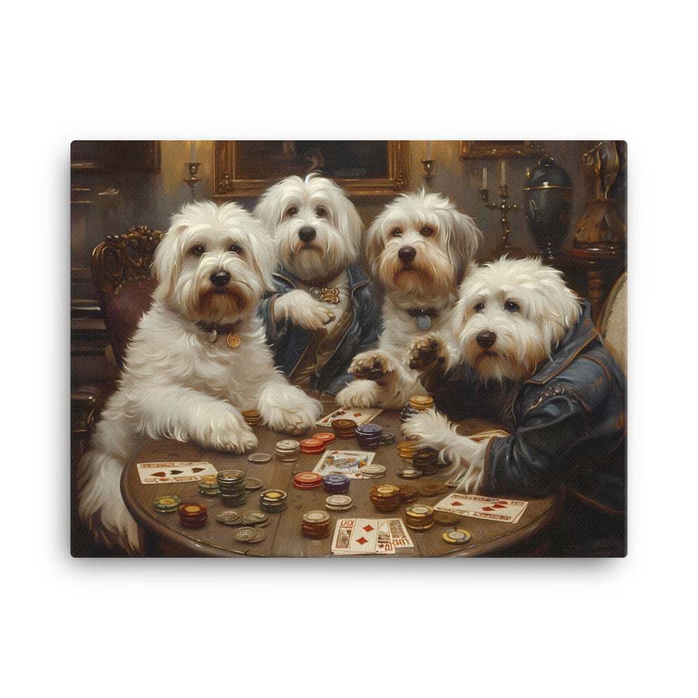 Coton de Tulears play a round of poker.