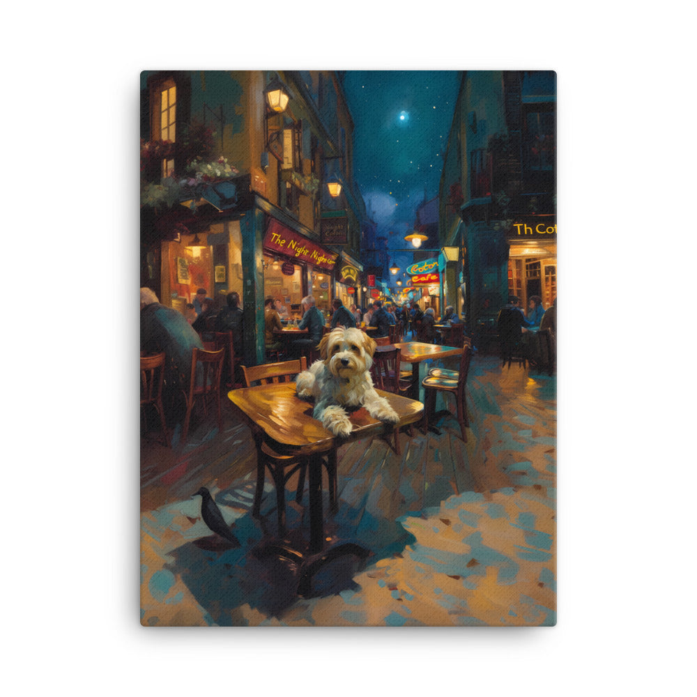 A Coton De Tulear dog at a cafe in Van Gogh’s Cafe street