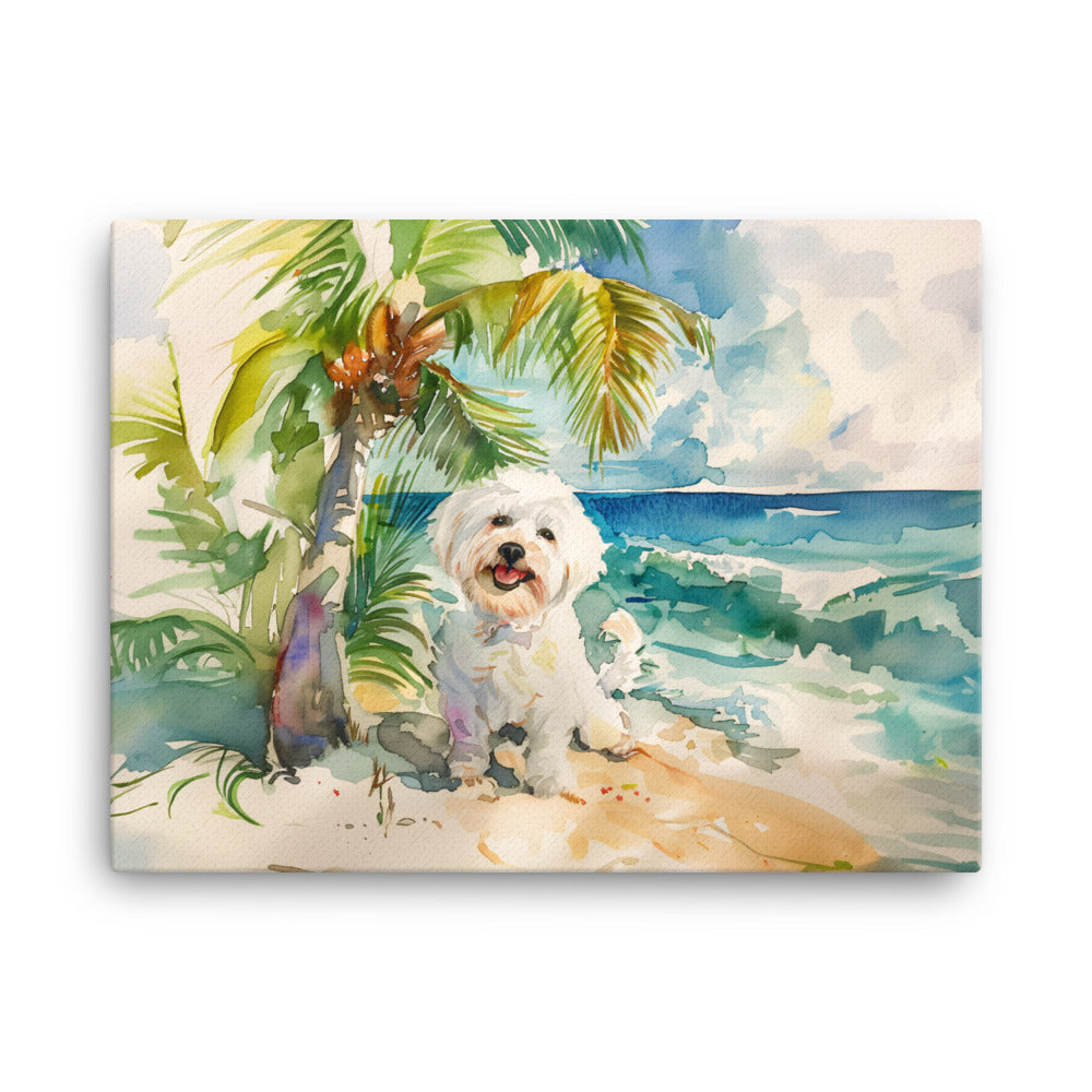 A Coton de Tulear relaxes on an island beach scene.