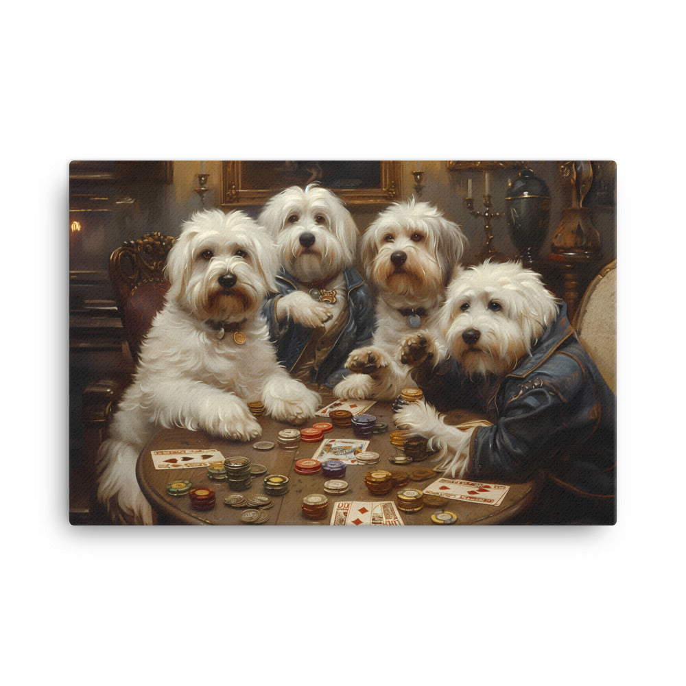 Coton de Tulears play a round of poker.