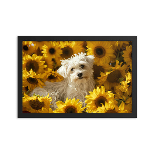 A Coton De Tulear dog nestled among vibrant sunflowers in a framed canvas art piece.