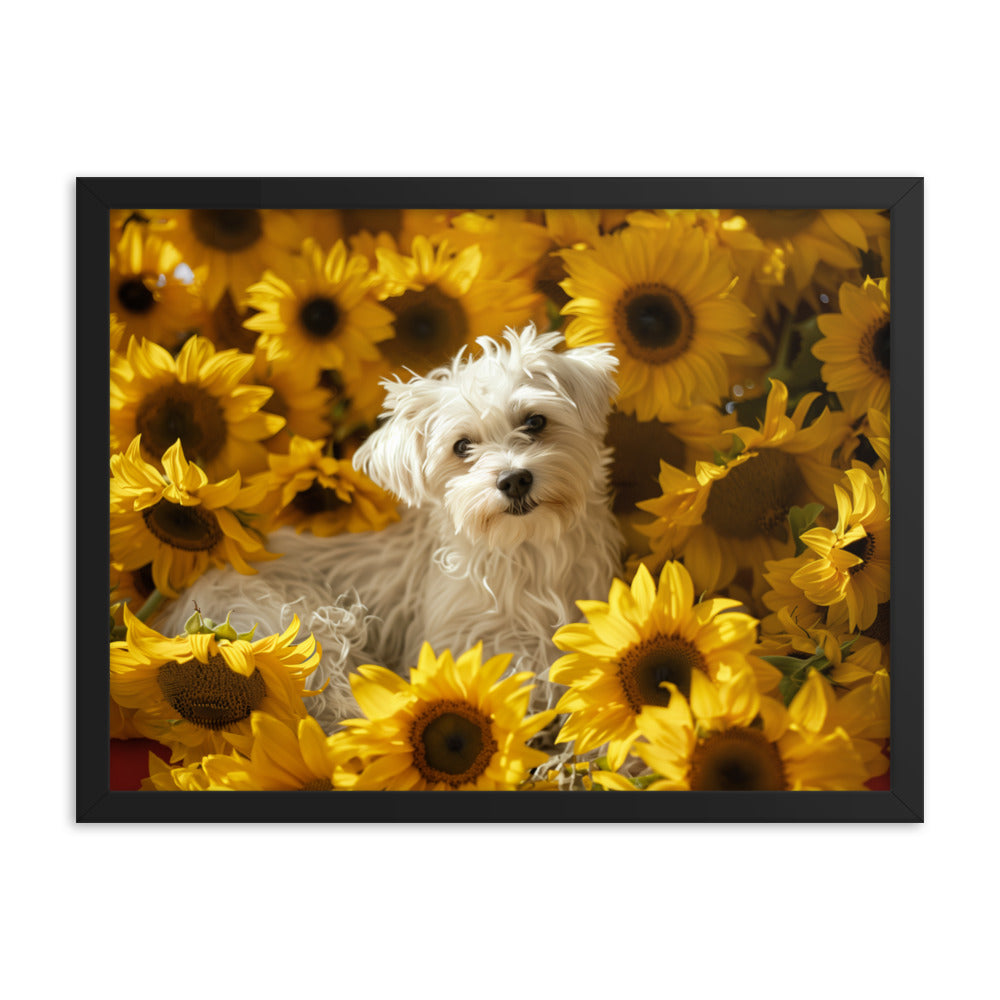 A Coton De Tulear dog nestled among vibrant sunflowers in a framed canvas art piece.