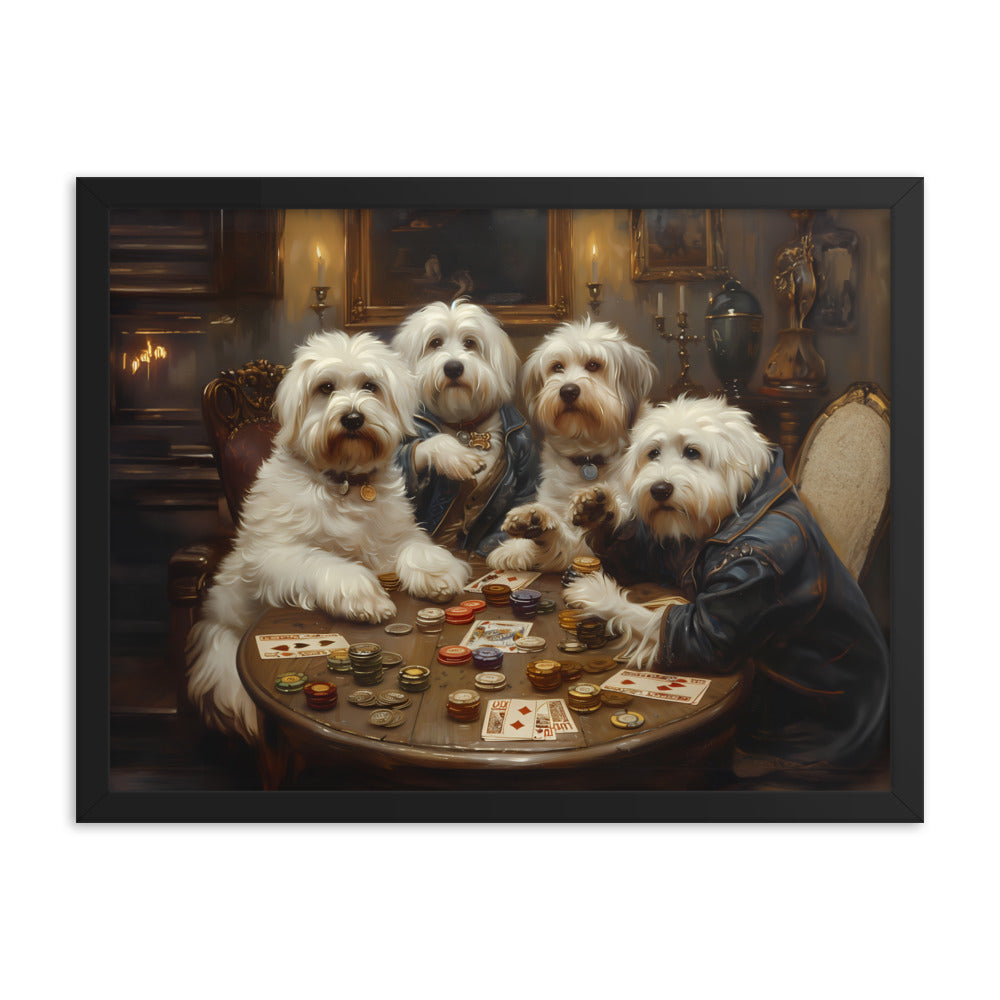 Coton de Tulears play a round of poker.