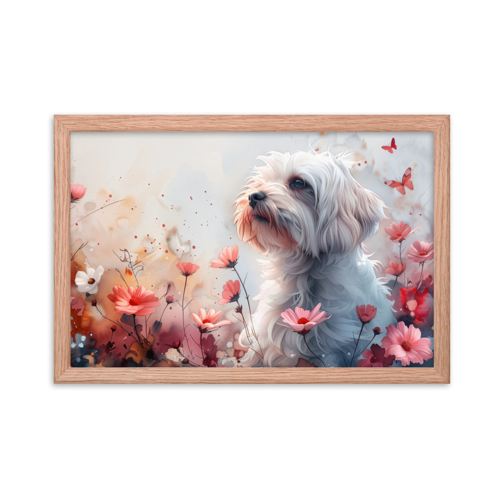 A Coton de Tulear in a field of flowers with butterflies. 