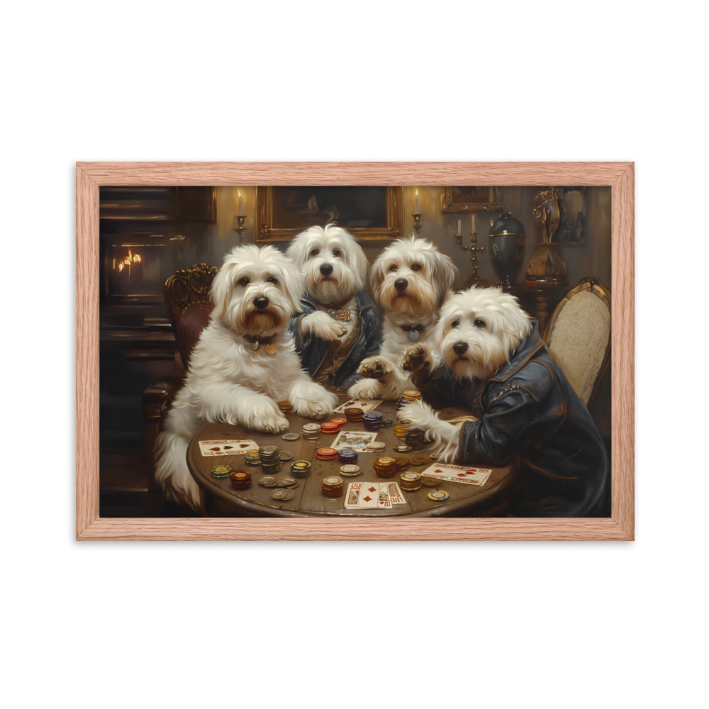 Coton de Tulears play a round of poker.