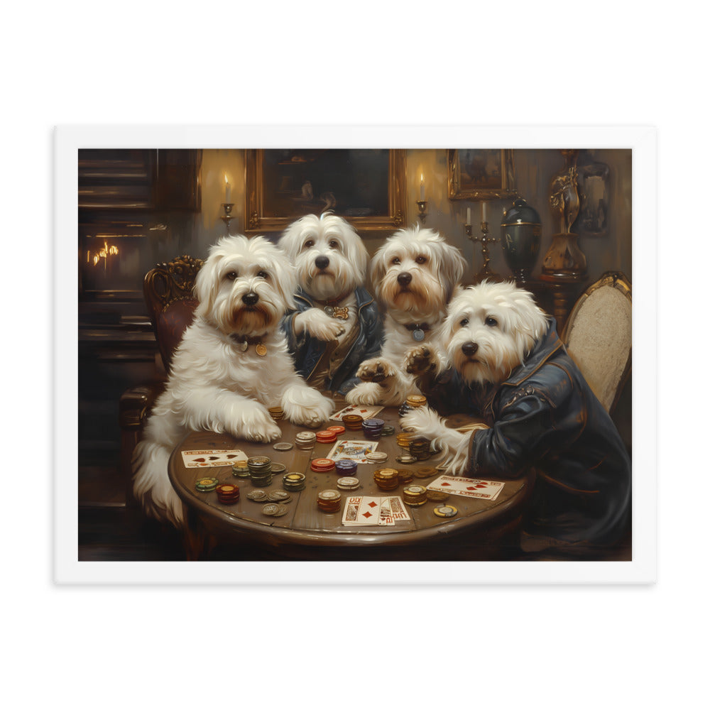 Coton de Tulears play a round of poker.