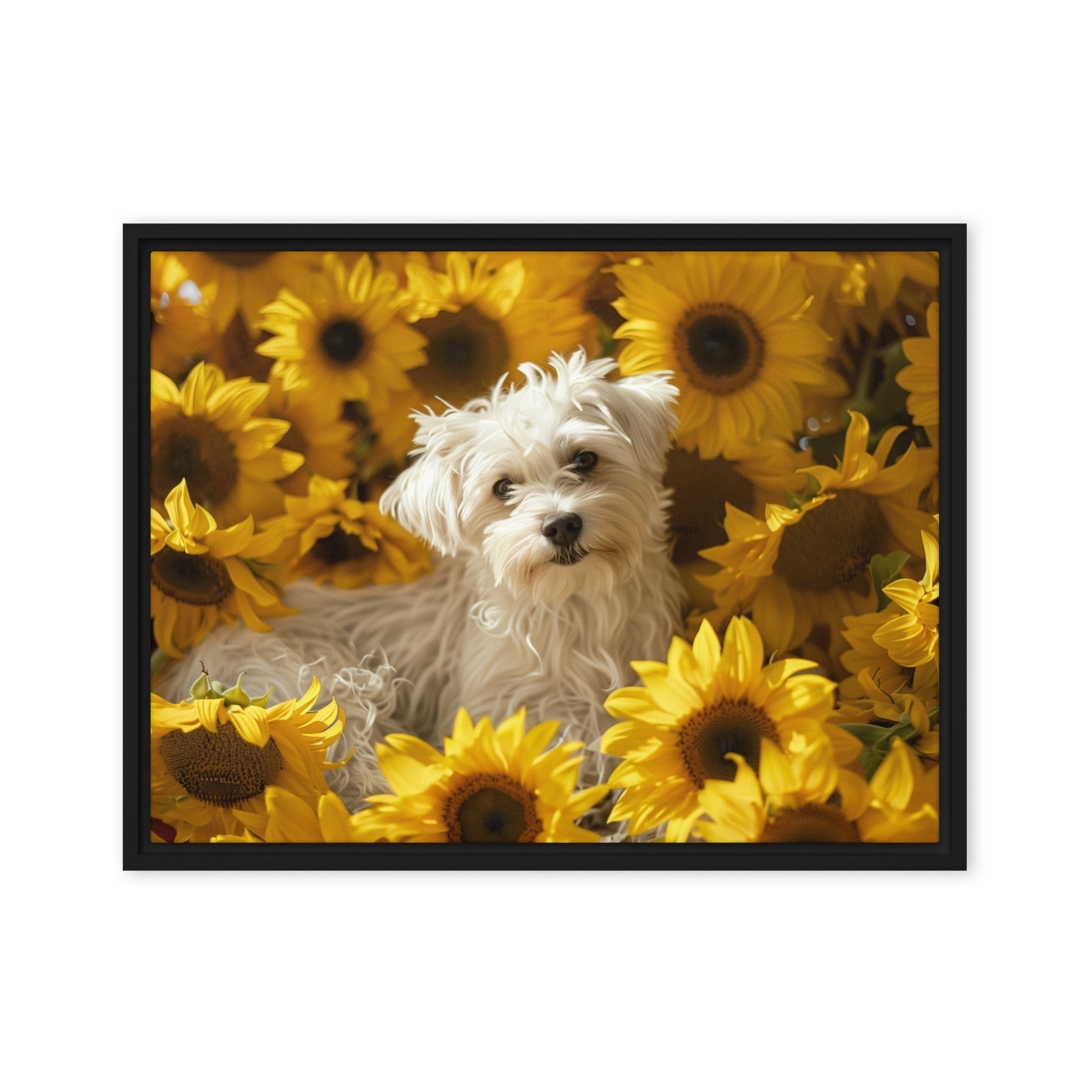 A Coton De Tulear dog nestled among vibrant sunflowers in a framed canvas art piece.