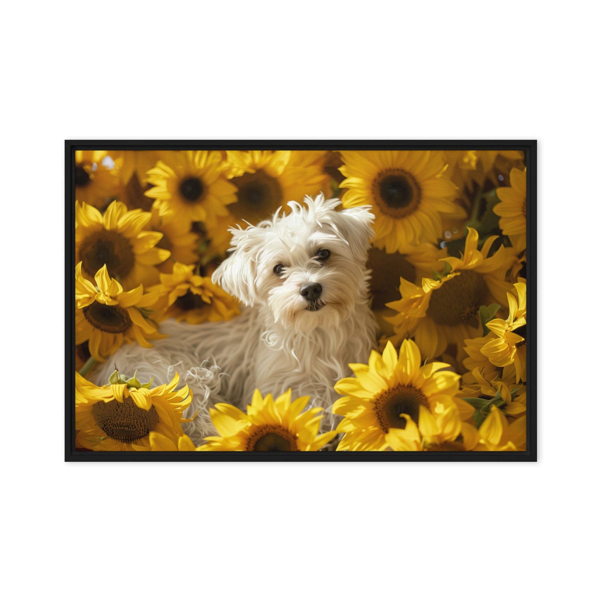 A Coton De Tulear dog nestled among vibrant sunflowers in a framed canvas art piece.