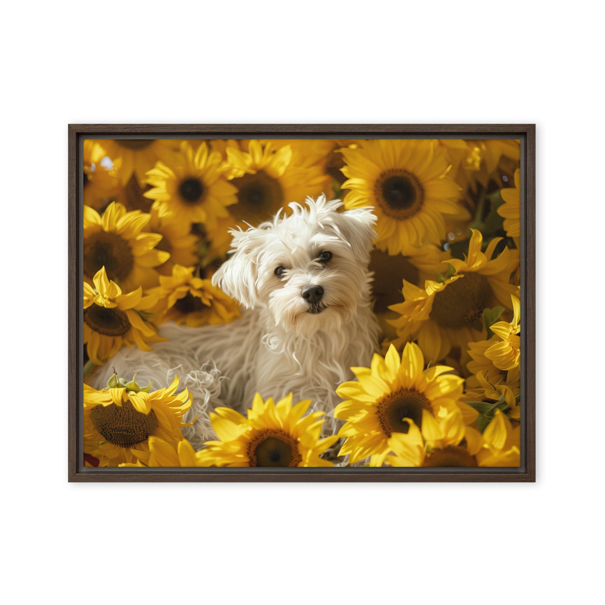 A Coton De Tulear dog nestled among vibrant sunflowers in a framed canvas art piece.