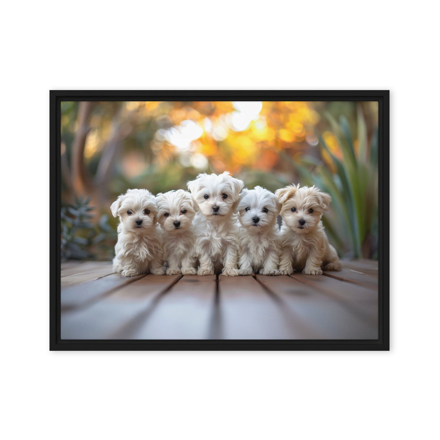 Five Coton de Tulear puppies lined up on a wood deck with greenery in the background. 