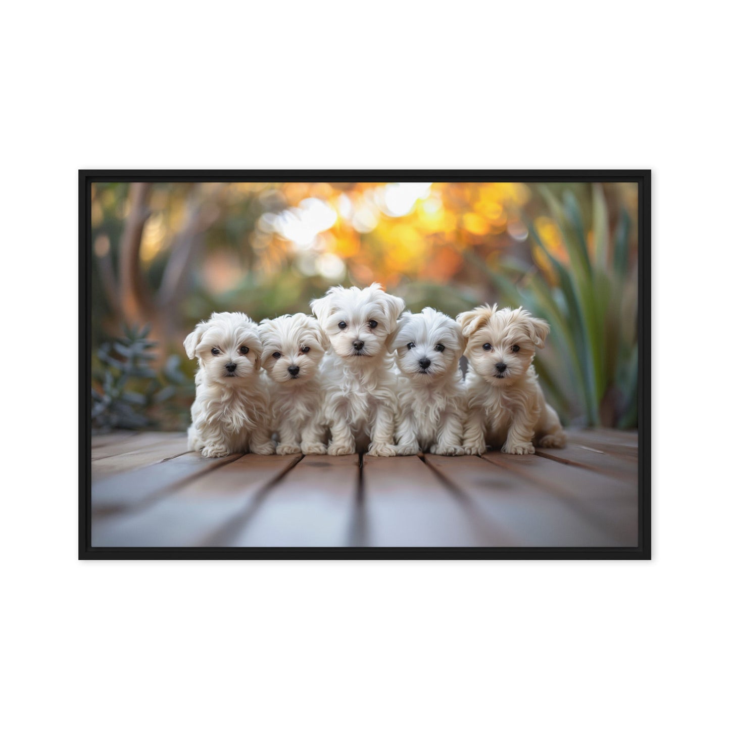 Five Coton de Tulear puppies lined up on a wood deck with greenery in the background. 