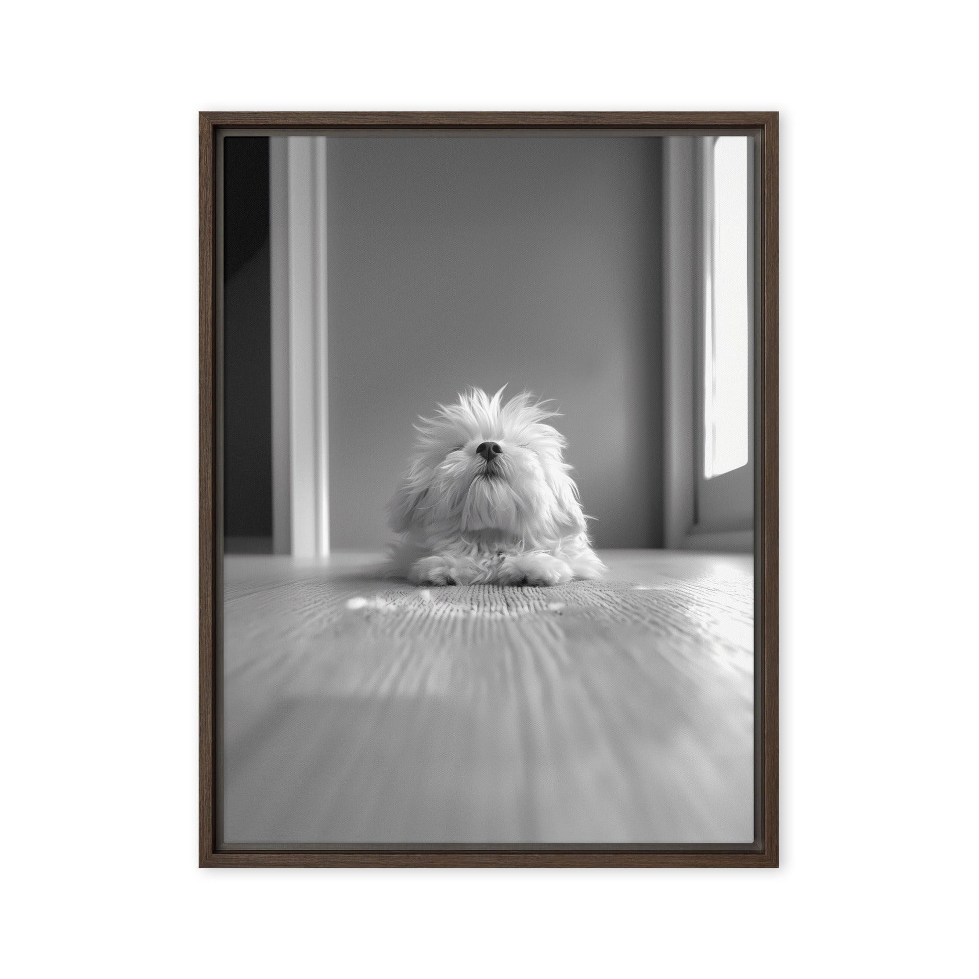 Black and White Minimalist Photo of a Coton De Tulear dog resting with head raised