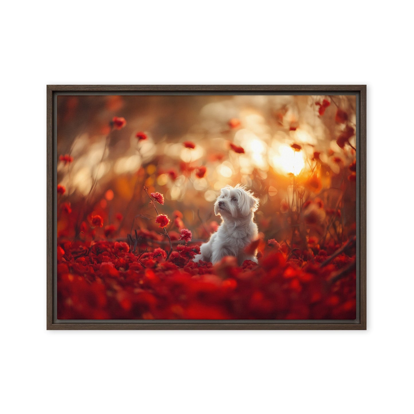 A Coton De Tulear dog sits in among red flowers at sunset