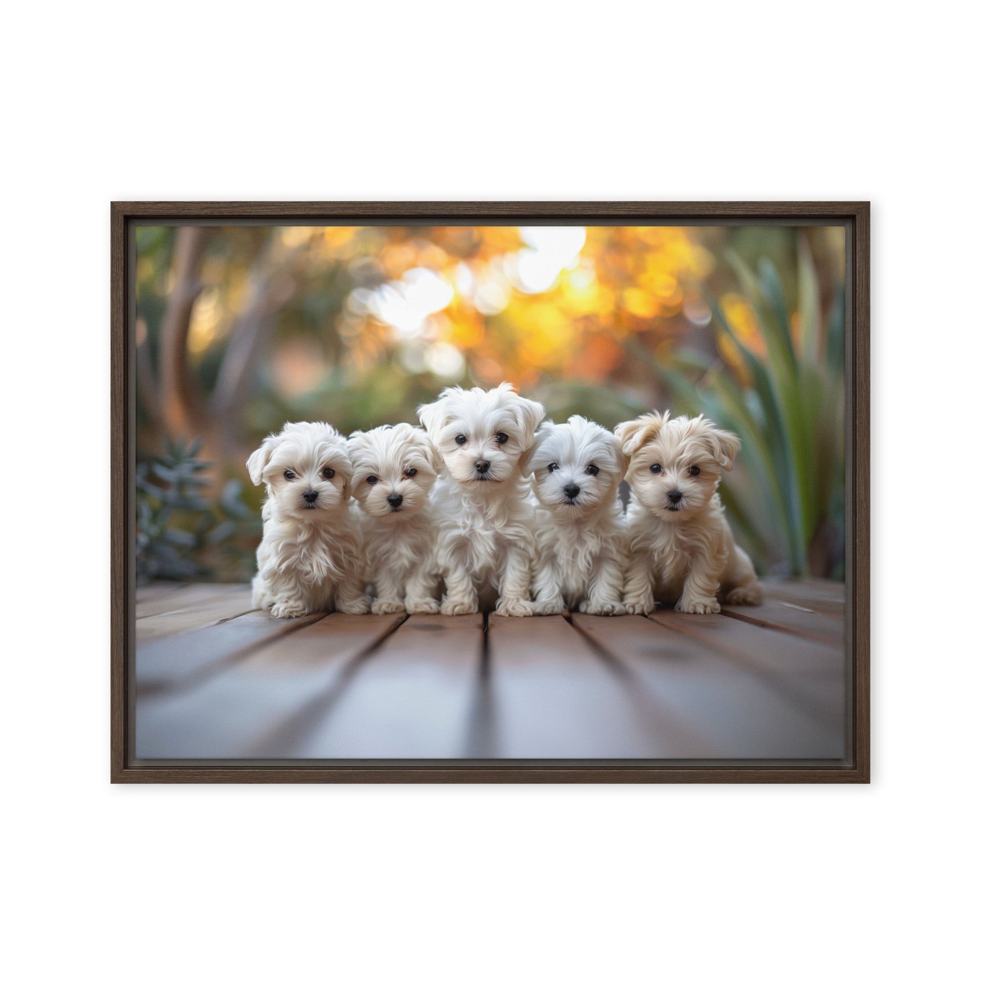 Five Coton de Tulear puppies lined up on a wood deck with greenery in the background. 