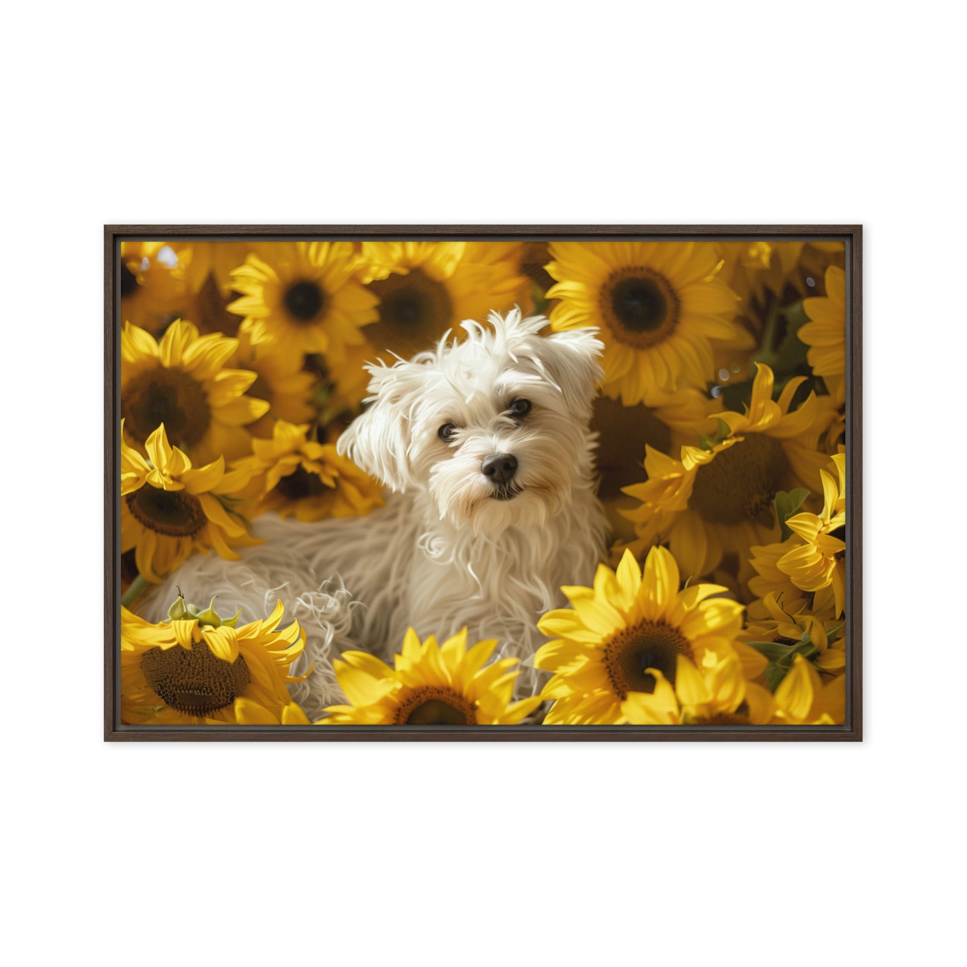 A Coton De Tulear dog nestled among vibrant sunflowers in a framed canvas art piece.