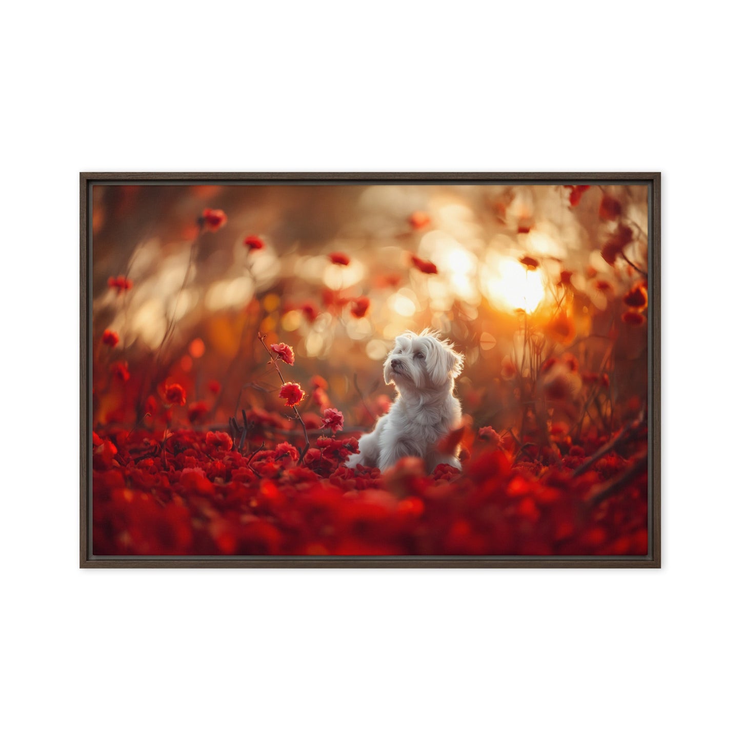 A Coton De Tulear dog sits in among red flowers at sunset