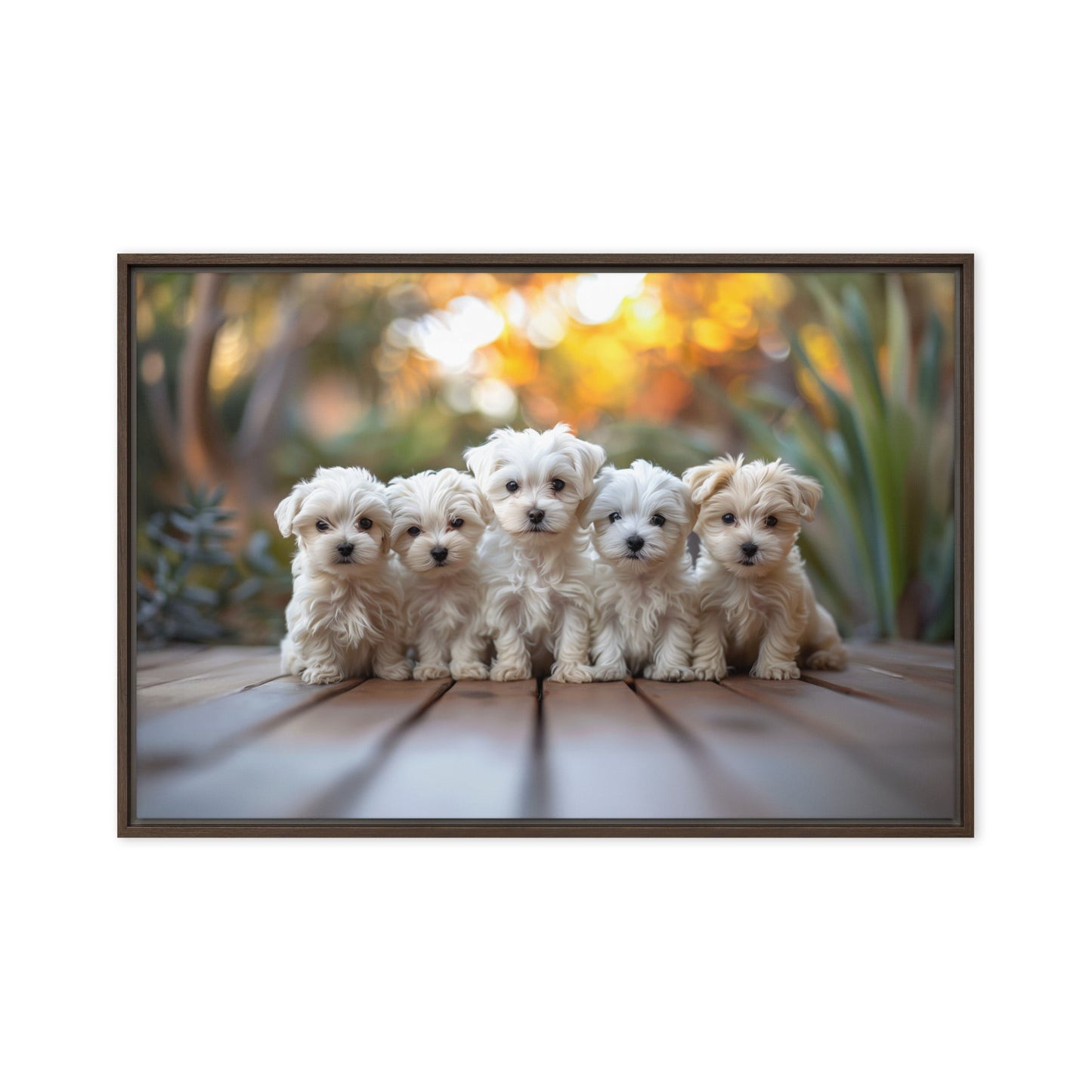 Five Coton de Tulear puppies lined up on a wood deck with greenery in the background. 