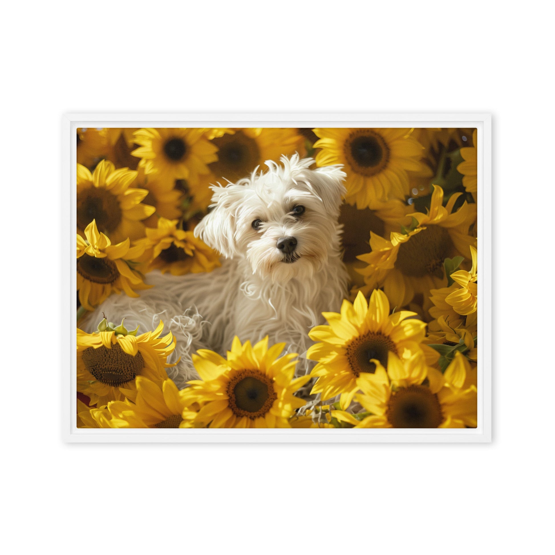 A Coton De Tulear dog nestled among vibrant sunflowers in a framed canvas art piece.