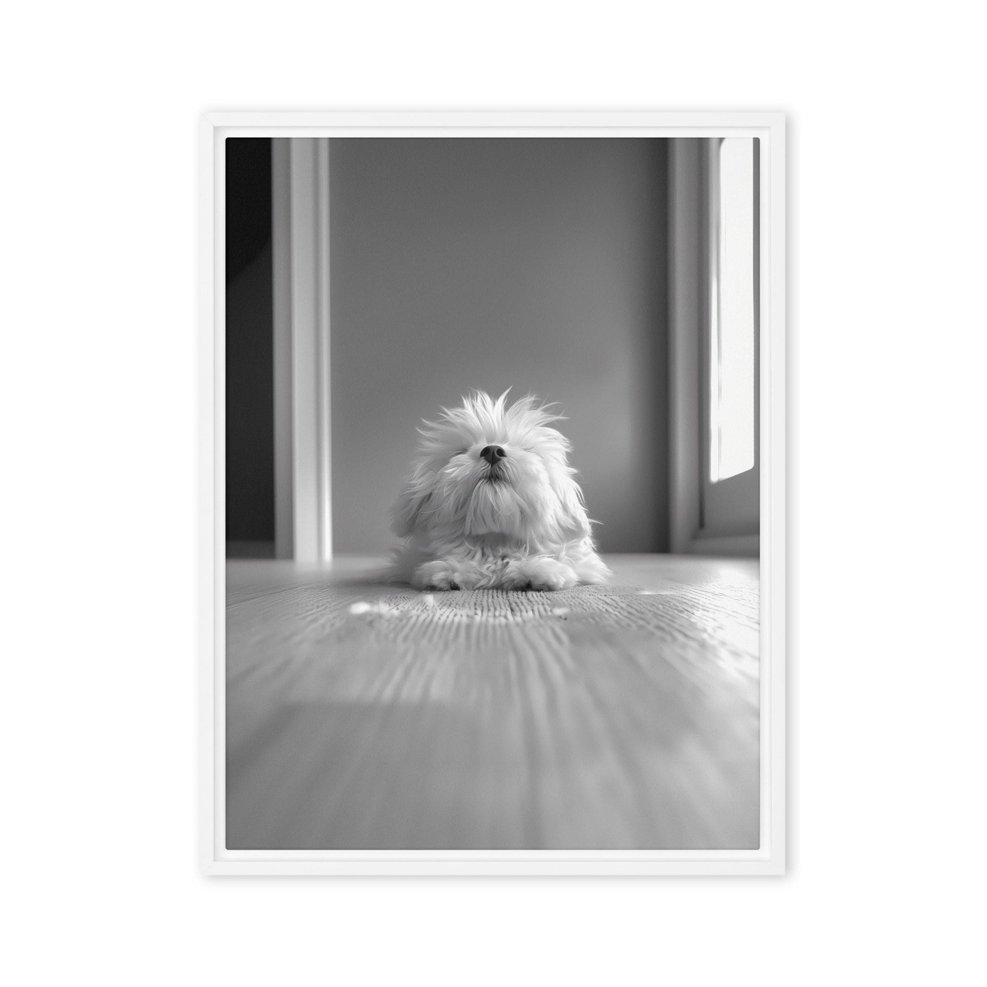 Black and White Minimalist Photo of a Coton De Tulear dog resting with head raised