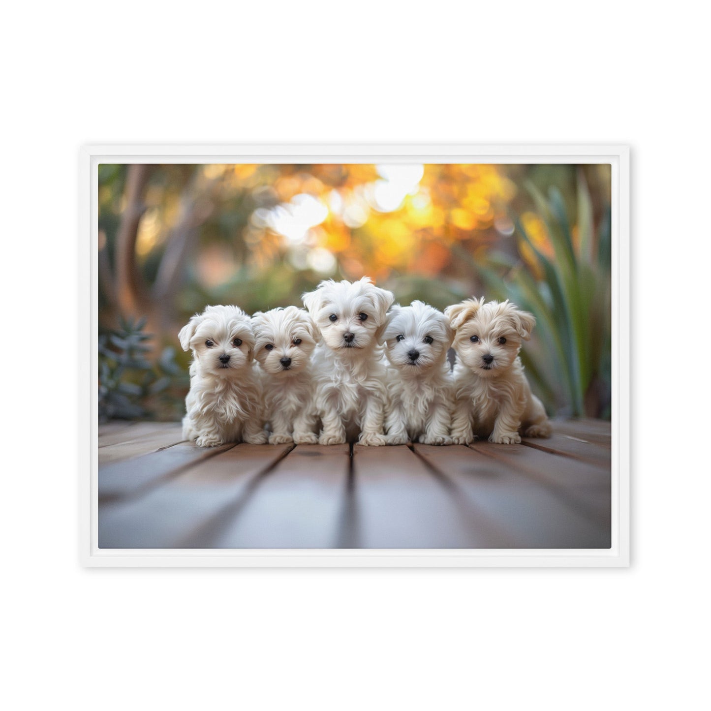 Five Coton de Tulear puppies lined up on a wood deck with greenery in the background. 