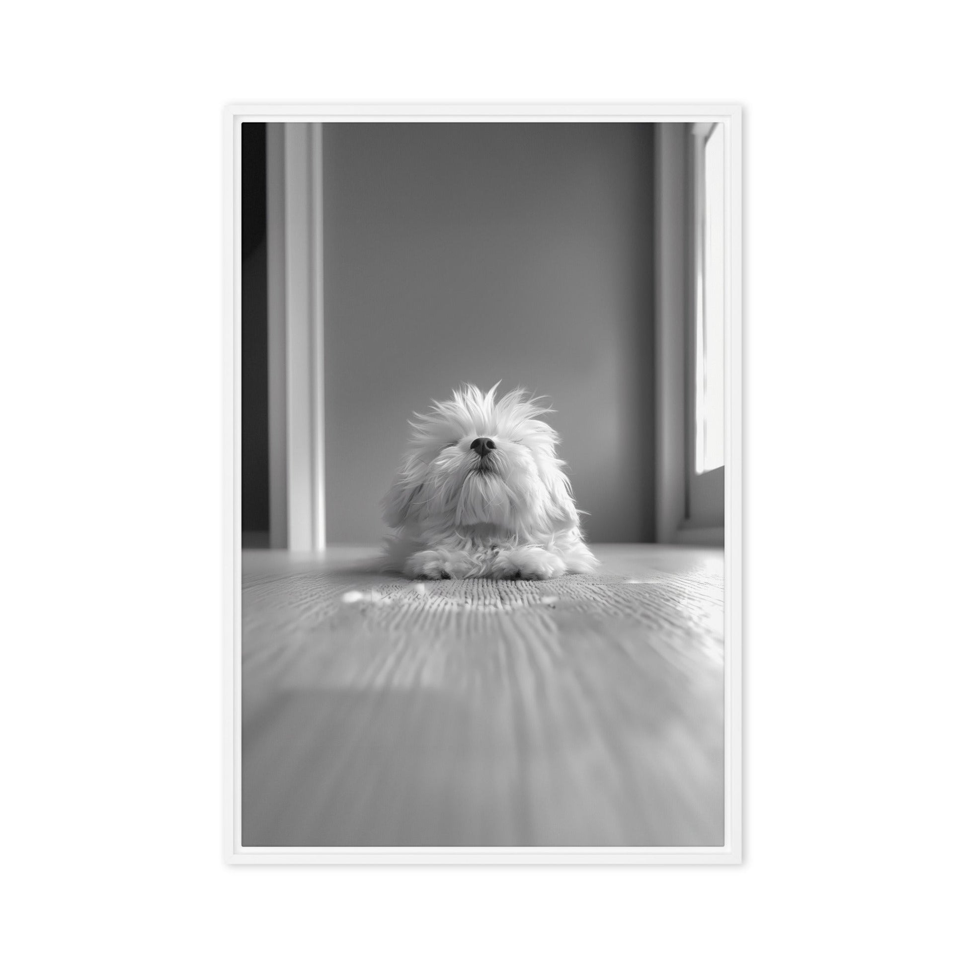 Black and White Minimalist Photo of a Coton De Tulear dog resting with head raised