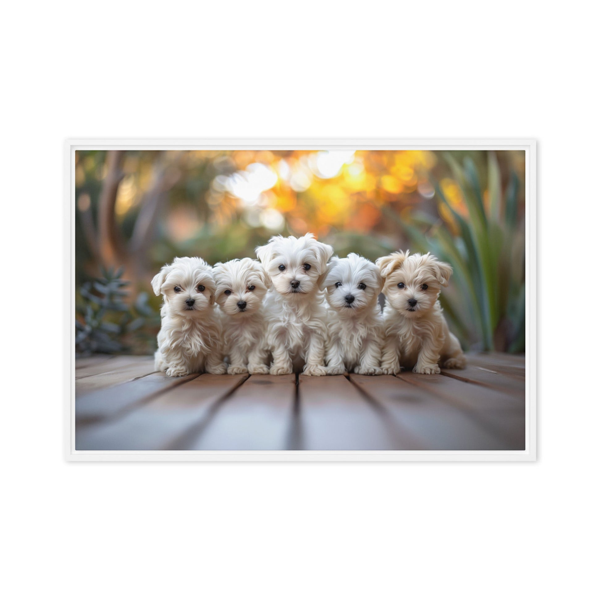 Five Coton de Tulear puppies lined up on a wood deck with greenery in the background. 