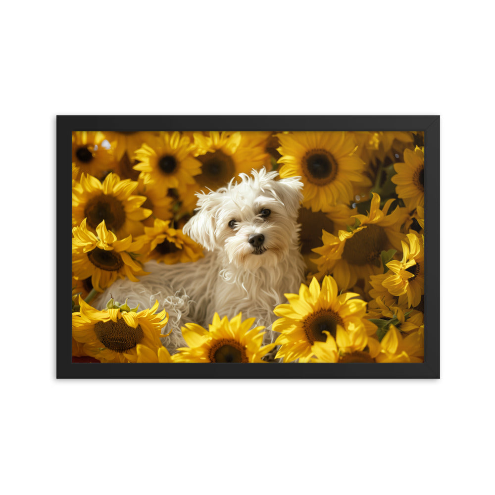 A Coton De Tulear dog nestled among vibrant sunflowers in a framed canvas art piece.