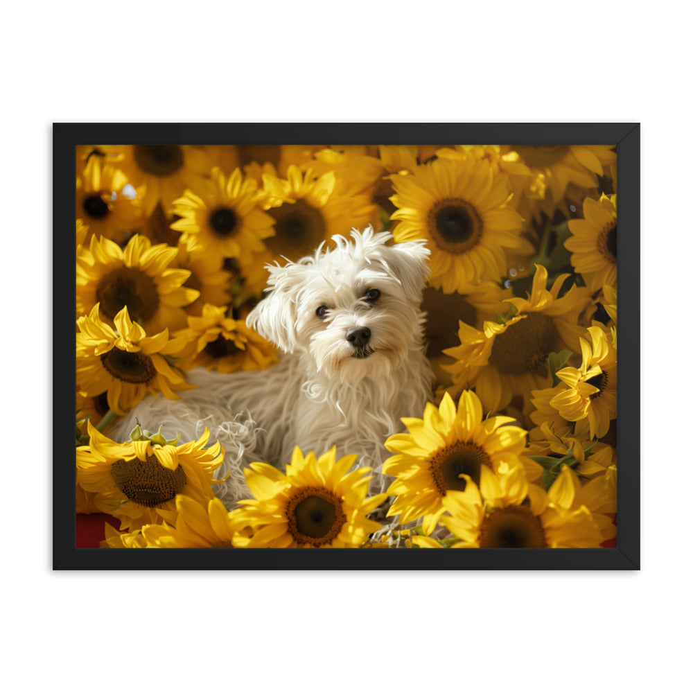 A Coton De Tulear dog nestled among vibrant sunflowers in a framed canvas art piece.