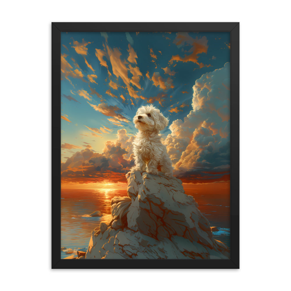 A majestic Coton de Tulear sits at the top of a rock with a beautiful partly cloudy sunset.