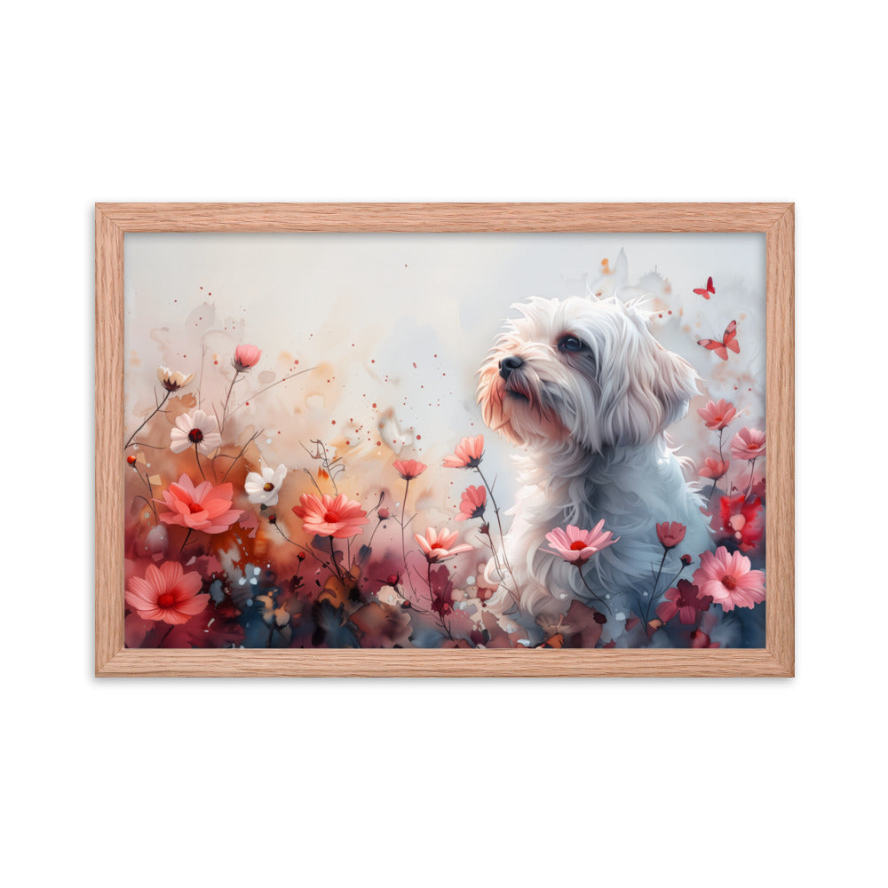 A Coton de Tulear in a field of flowers with butterflies. 