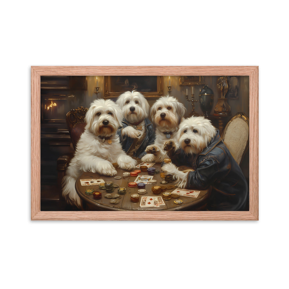 Coton de Tulears play a round of poker.