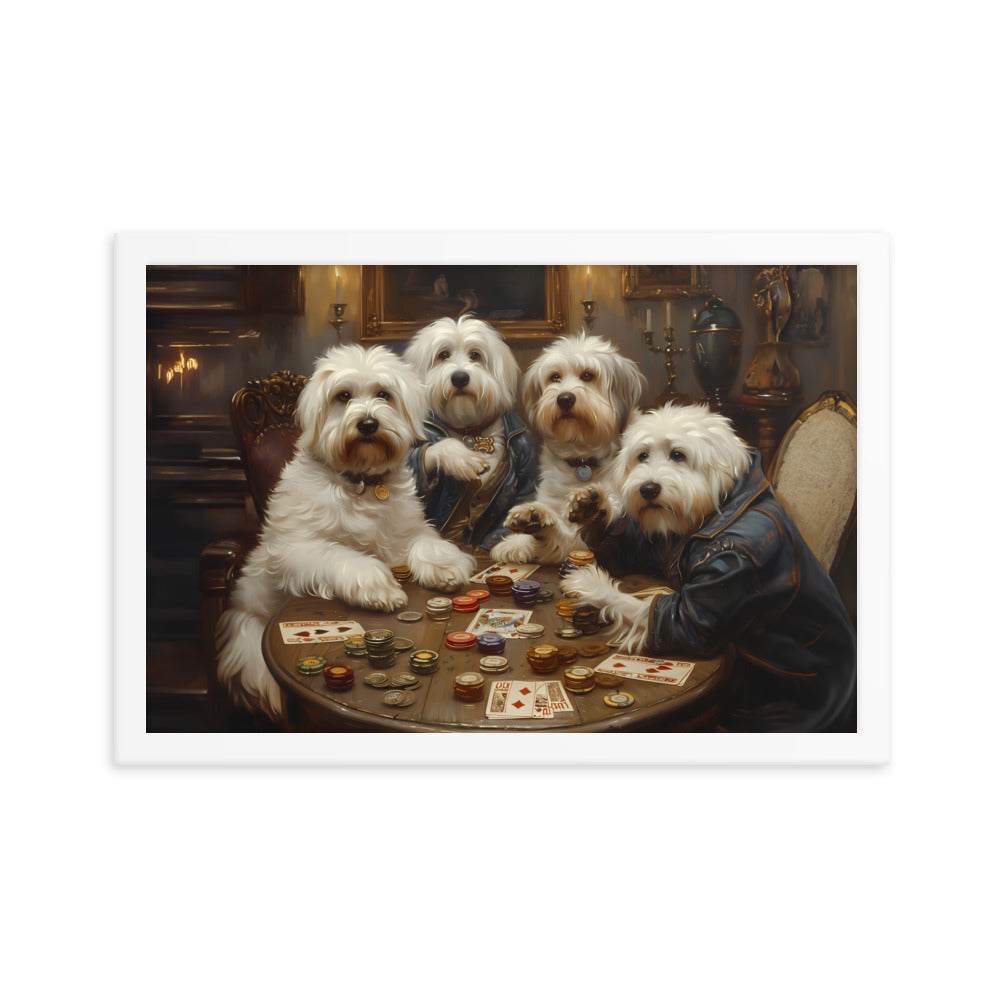 Coton de Tulears play a round of poker.