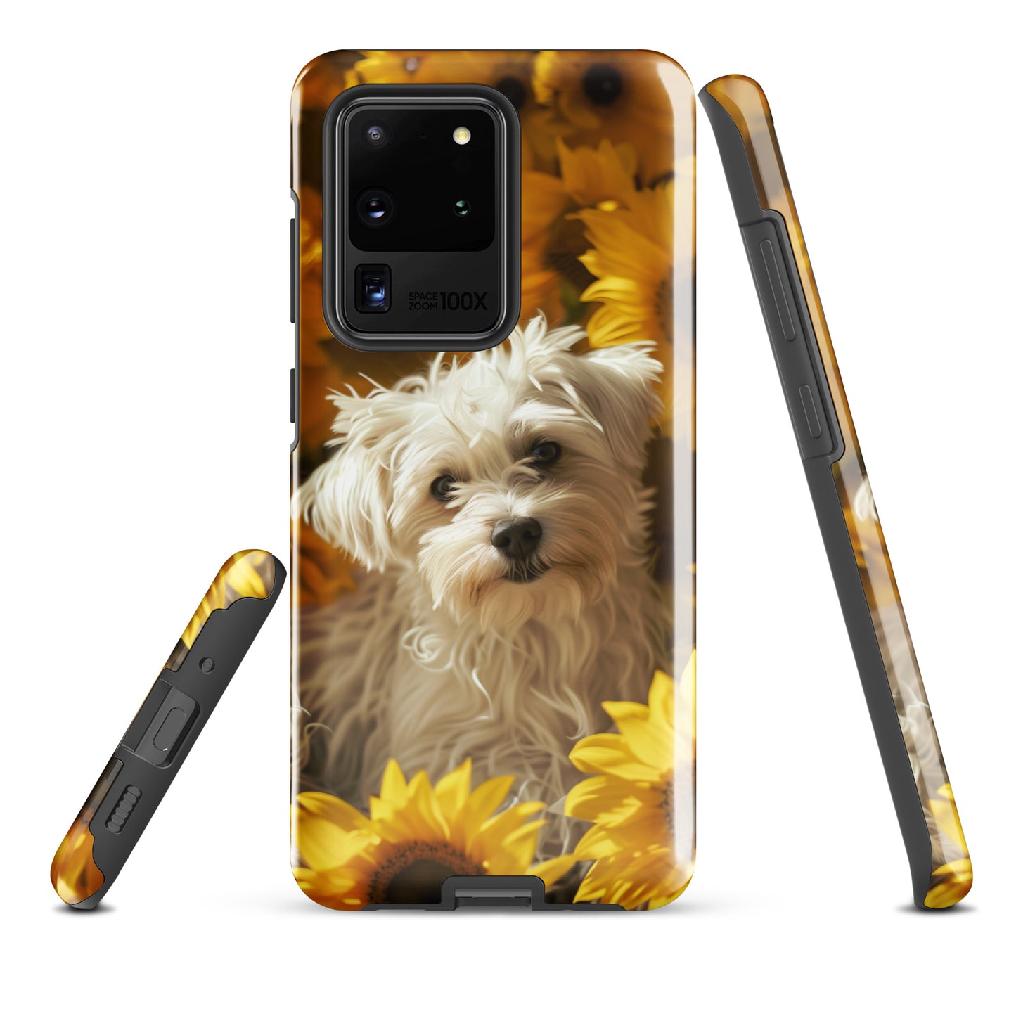 A Coton De Tulear dog in a field of sunflowers