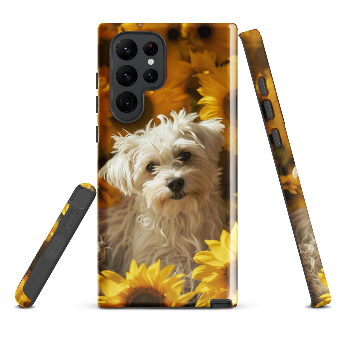 A Coton De Tulear dog in a field of sunflowers